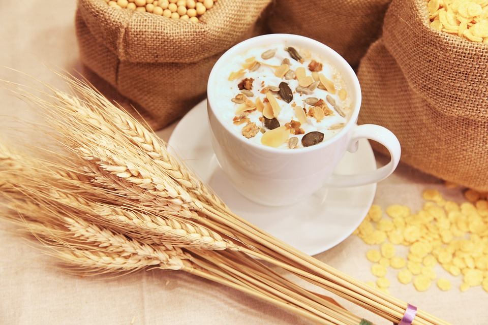 food-gut-health food-gut-health