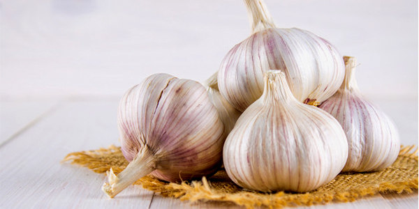 Garlic