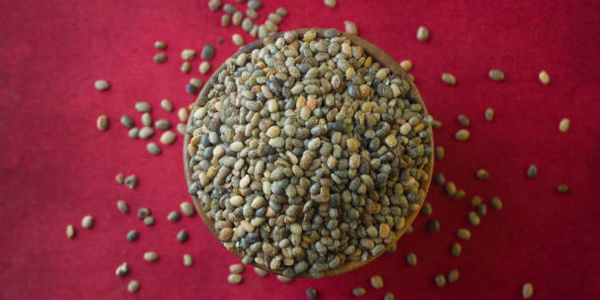 Horse-gram