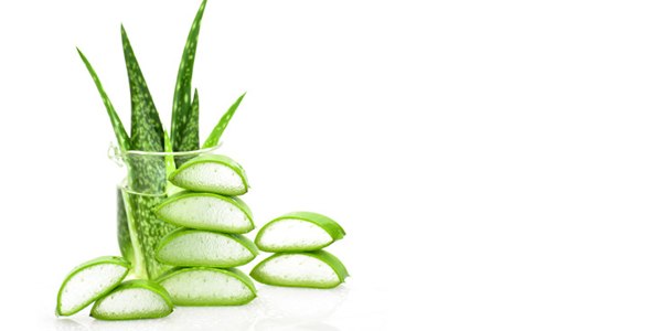 Moisturize with Aloe Vera