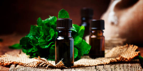Peppermint Oil