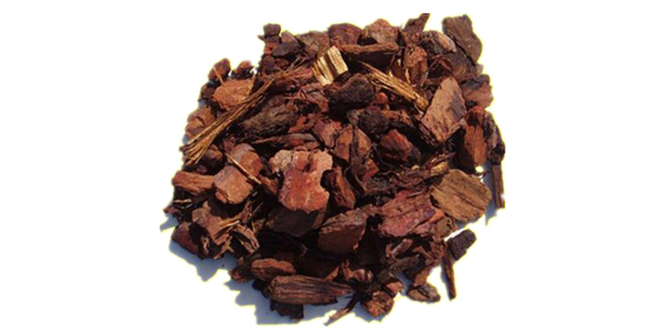 Pine Bark Extract