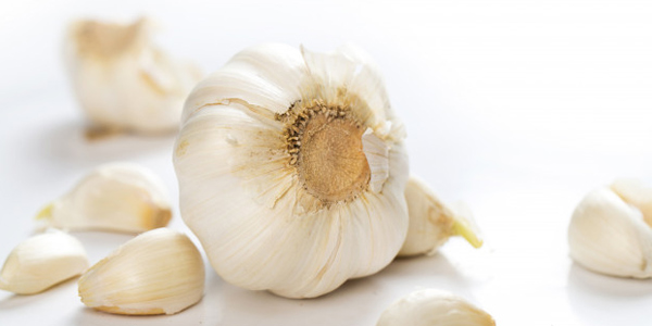 Chew on Garlic