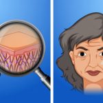 Collagen for Skin Care