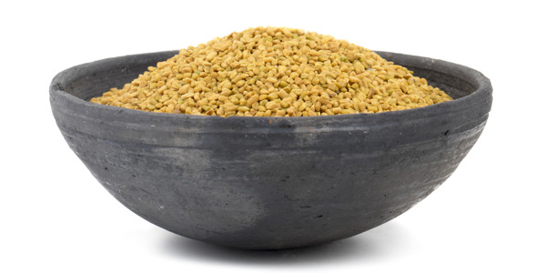 Fenugreek Seeds Fenugreek Seeds