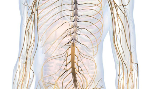 Focal Neuropathy - A Type of Diabetic Neuropathy