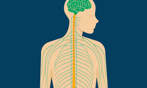 Autonomic Neuropathy - A Type of Diabetic Neuropathy