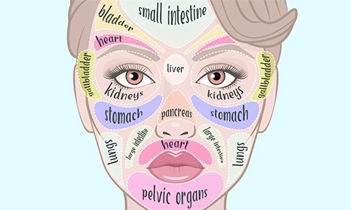 Face mapping chart