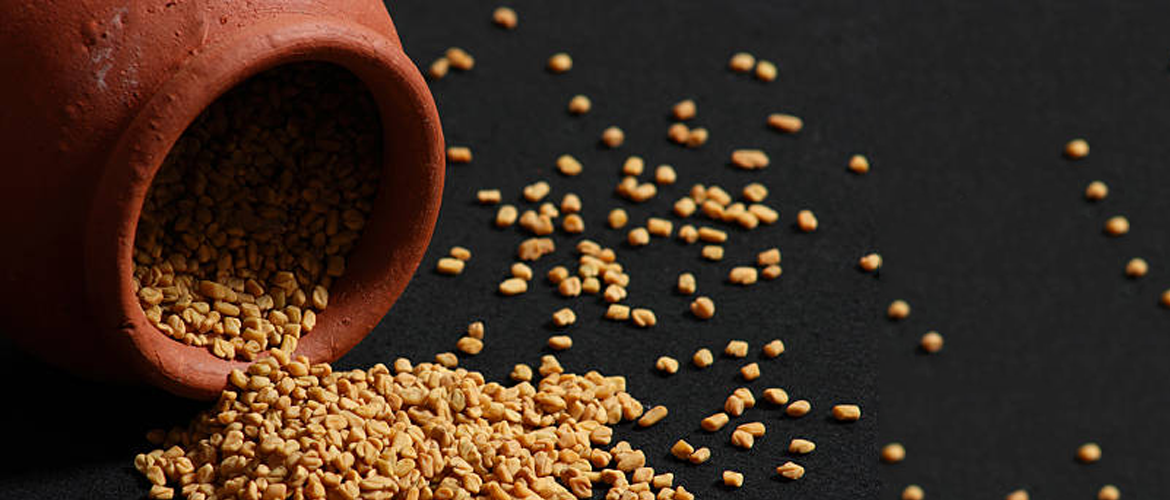 Here Is How Fenugreek for Diabetes Can Do Wonders!