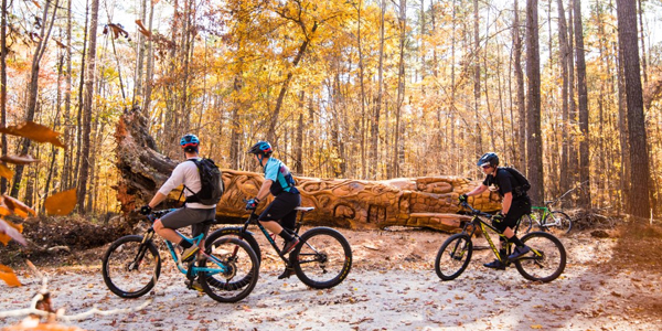 Trekking Combined with Cycling