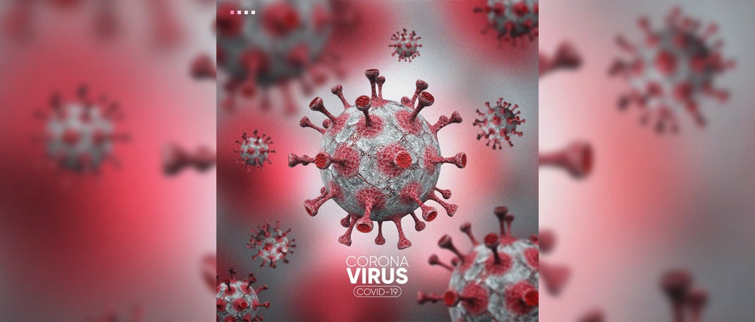 Complete Facts About Coronavirus From Origin to Now