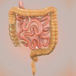 Natural and Home Remedies for Colon Cleansing