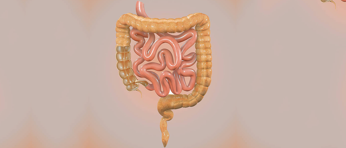Natural and Home Remedies for Colon Cleansing