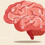 10 Major Ways to Improve Your Brain Fitness