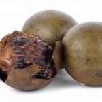 Monk Fruit Sweetener: Benefits and Risks