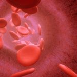A Rare Blood Type Variant Helps Prevent Malaria