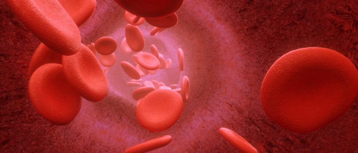A Rare Blood Type Variant Helps Prevent Malaria