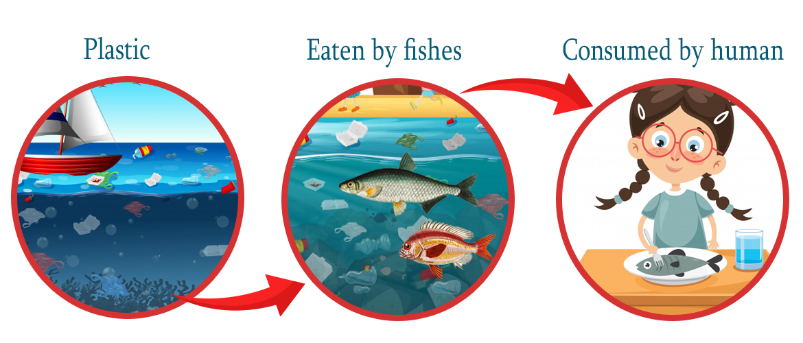 We Eat Plastic in Every Seafood, Claims Study!