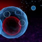 How Can Extracellular Vesicles Be the Key for Next Generation Treatments and Therapies?