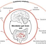 What is Gut-Brain-Axis? What are its Symptoms?