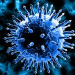 Seasonality of Coronavirus & Other Respiratory Viruses