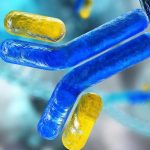 Can Regeneron COVID Antibody Treatment Make a Difference?