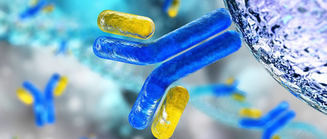 Can Regeneron COVID Antibody Treatment Make a Difference?