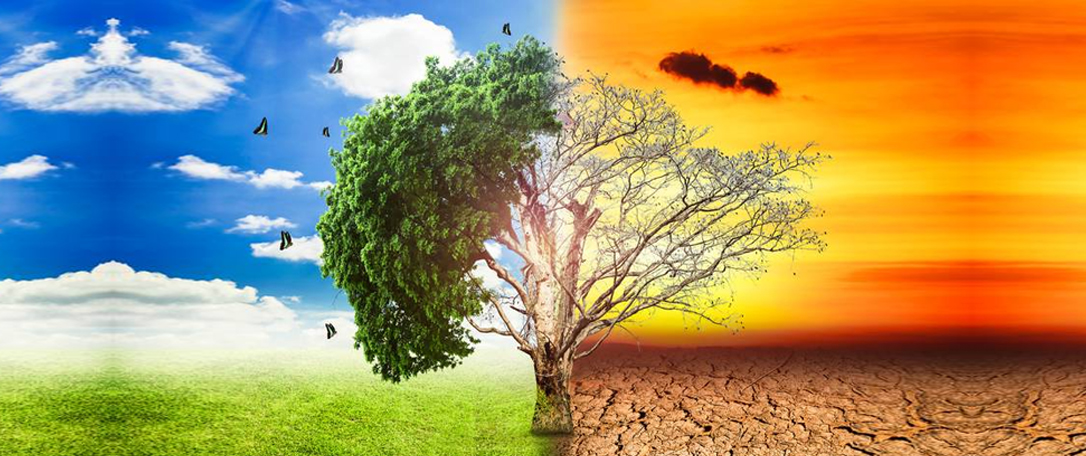 How Climate Change Increases the Risk of Cancers?
