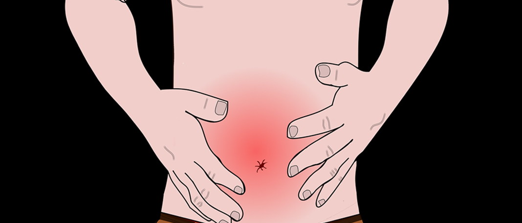 What Are Human Parasites and How They Thrive Inside Our Stomachs?