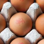 British Lion Eggs Contaminated With Salmonella Bacteria