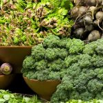 Plant Protein Has Immense Health Benefits Over Red Meat