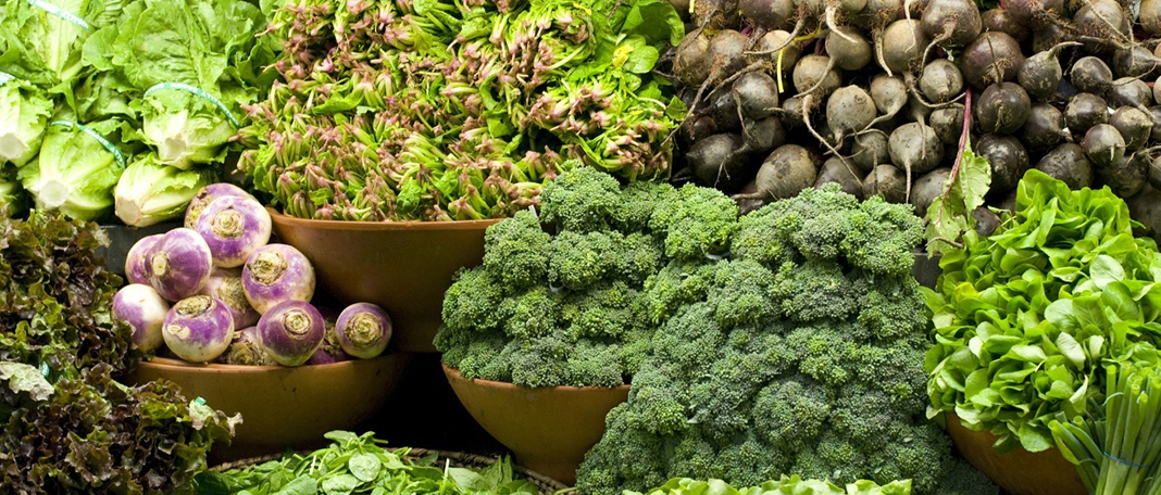Plant Protein Has Immense Health Benefits Over Red Meat