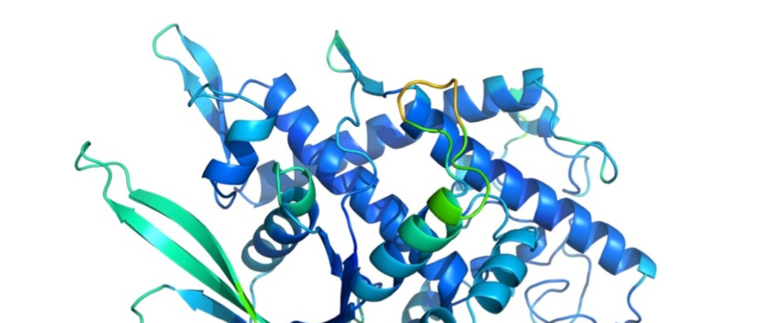 AI Helps Treating Protein Folding Problems in Patients