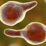 How Superbugs Can Affect the Health of Infants and Toddlers