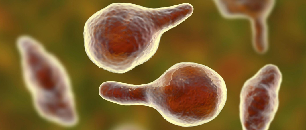 How Superbugs Can Affect the Health of Infants and Toddlers