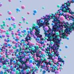 New Gene Therapy to Reverse Aging Is Tested Successful
