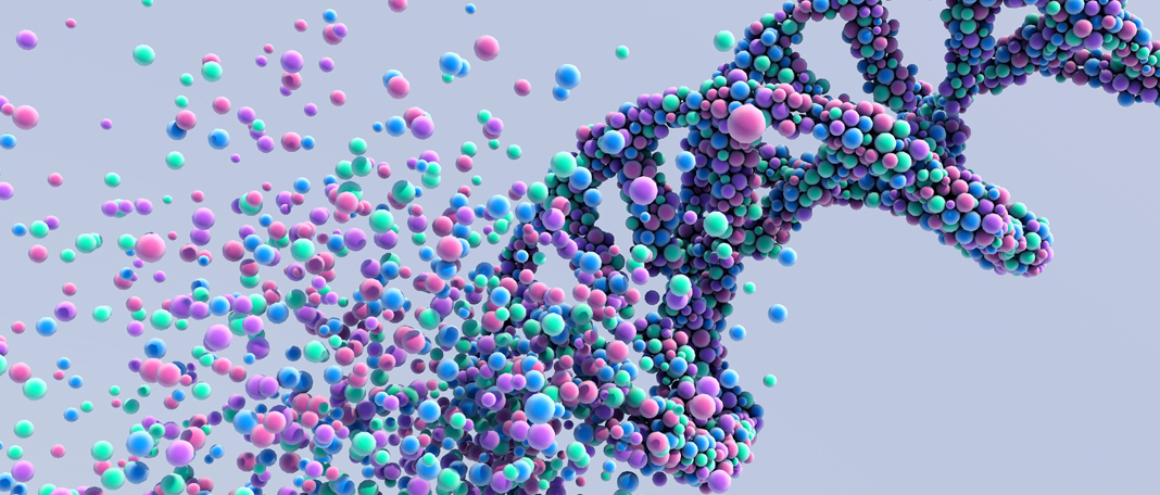 New Gene Therapy to Reverse Aging Is Tested Successful