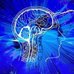 How Serotonin in the Brain Is Responsible for Patience?