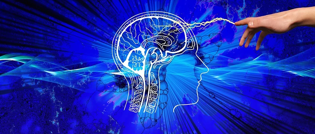 How Serotonin in the Brain Is Responsible for Patience?