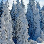 How Are Winters and Cancer Linked?