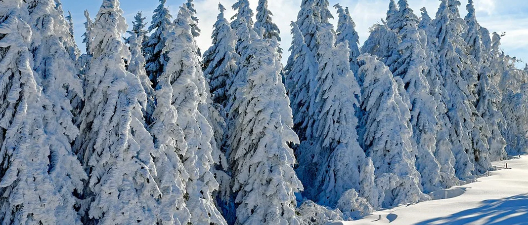 How Are Winters and Cancer Linked?