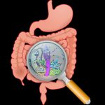 6 Simple Tips to Protect Your Gut and Immune System