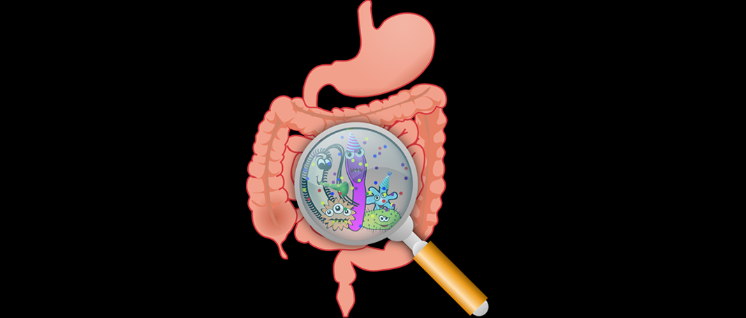 6 Simple Tips to Protect Your Gut and Immune System
