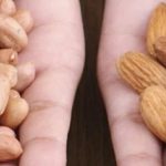 Botanists Say That Almonds and Peanuts Are Not Nuts