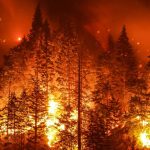 How Negative Impact of Wildfire Affect Our Human Health