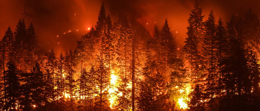 How Negative Impact of Wildfire Affect Our Human Health