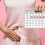 Are Irregular and Long Menstrual Cycles Linked to Shorter Life?
