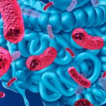 Researchers Found That around 140,000 Virus in Human Gut
