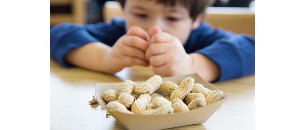 Research Discovers Peanut Allergy Drops Safe and Effective!