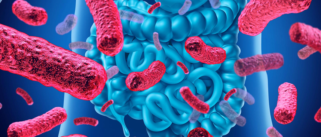 Researchers Found That around 140,000 Virus in Human Gut